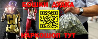 крисы Аргун