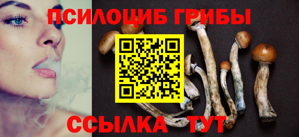 Галлюциногенные грибы прущие грибы  Вход с VPN  Псилоцибиновые грибы ЛСД  Артём 